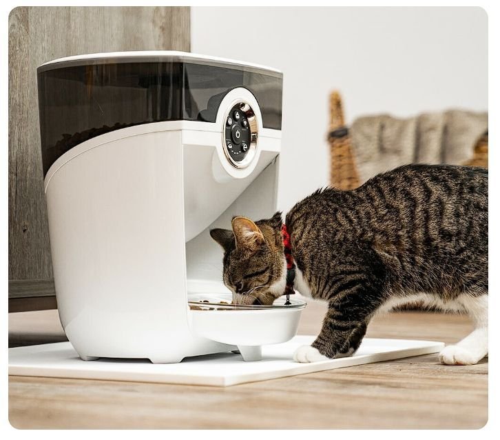 Whisker Feeder-Robot