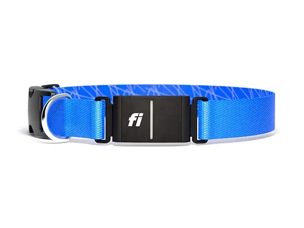 Fi Smart Collar Series 3+