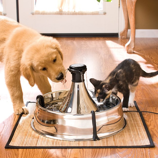PetSafe Drinkwell 360 Fountain