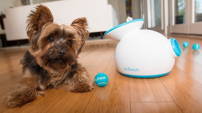 iFetch Interactive Ball Launcher